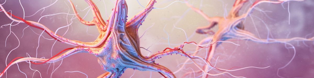 Neurons and nervous system. 3d render of nerve cells